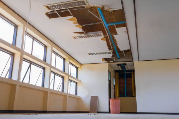 Best Professional water damage repair  in Lapeer, MI