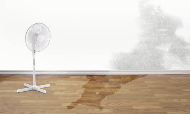 Best Sewage cleanup and water damage restoration  in Lapeer, MI
