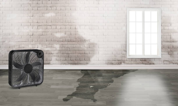 Best Fire Damage Restoration  in Lapeer, MI