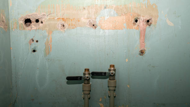 Best Flood damage cleanup  in Lapeer, MI