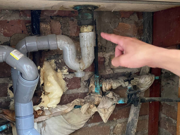 Water damage restoration mold remediation in Lapeer, MI