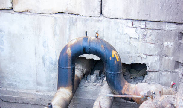 Best Water damage restoration insurance claims  in Lapeer, MI