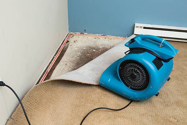 Water damage restoration insurance claims in Lapeer, MI