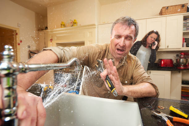 Best Flooded house restoration  in Lapeer, MI